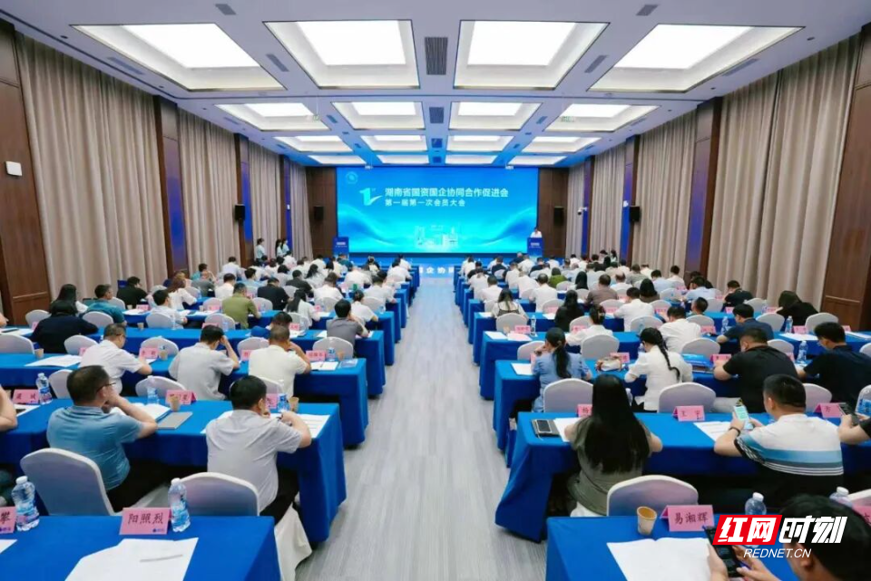 湖南建投集团当选湖南省国资国企协同合作促进会副理事长兼“走出去”专业委员会主任单位 - 图1